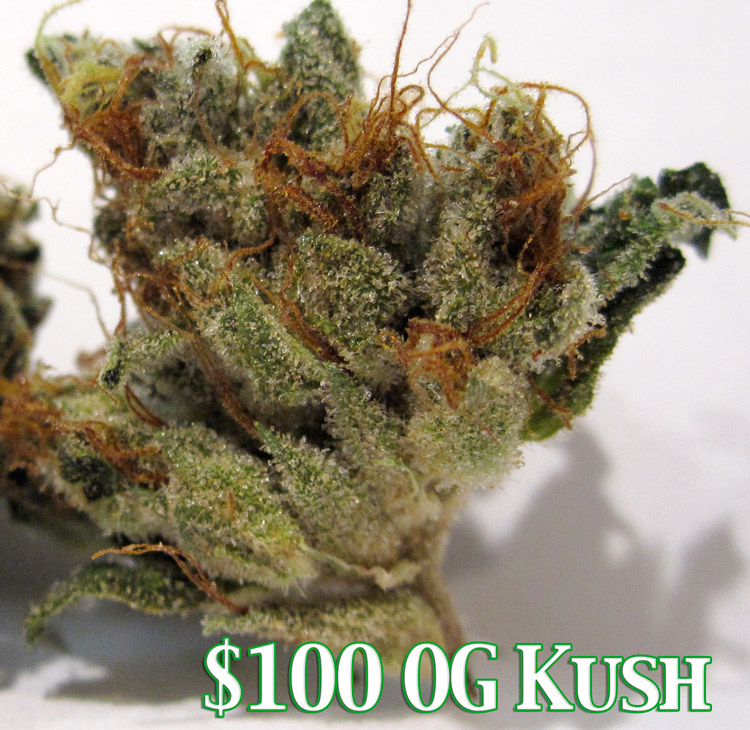 $100 OG Kush