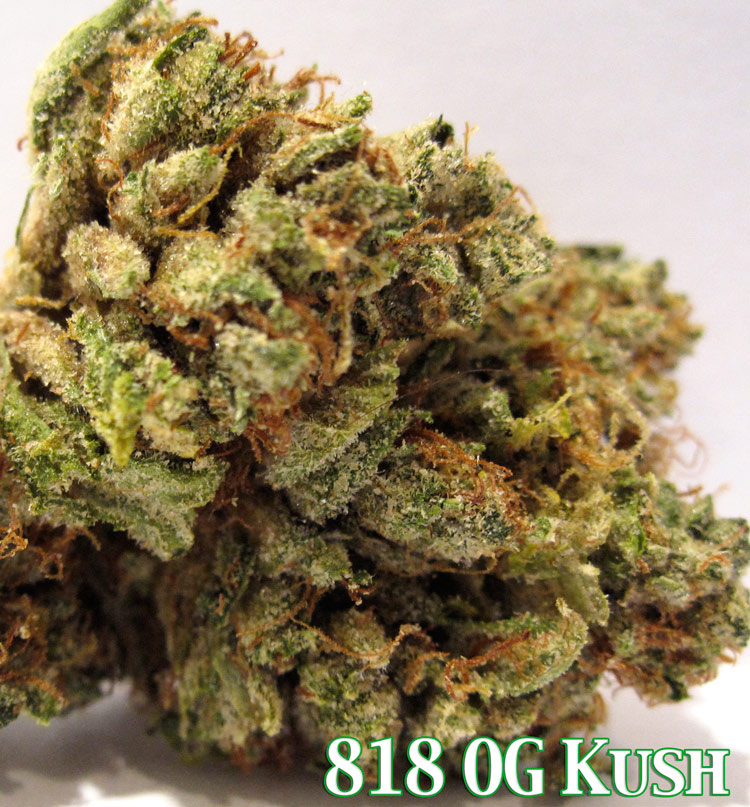 818 OG Kush