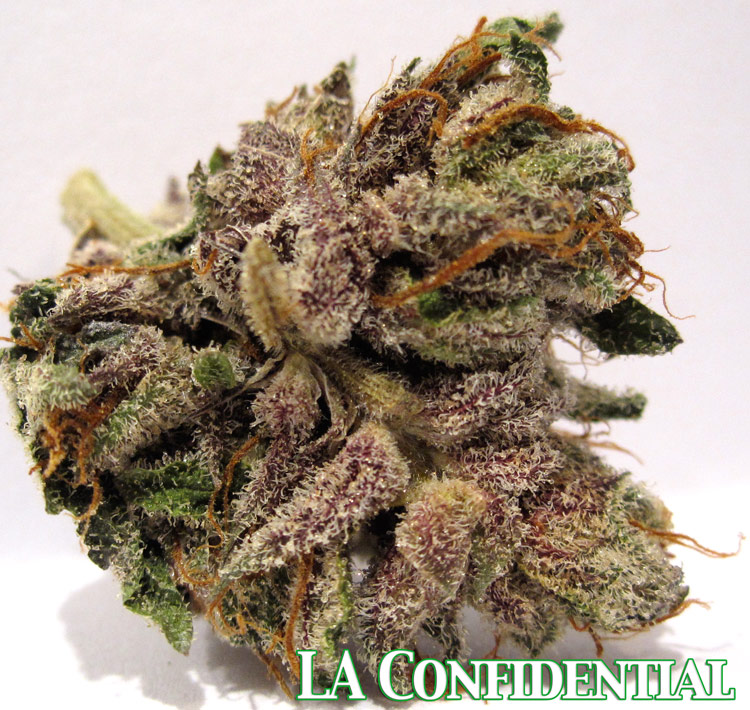 LA Confidential Medical Marijuana