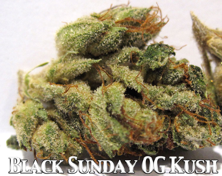 black jack kush