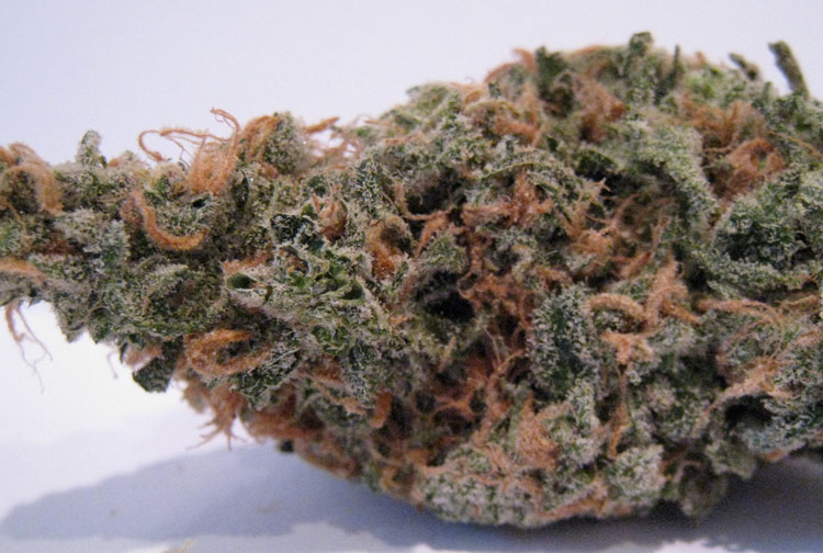 Blue Dreams Medical Marijuana