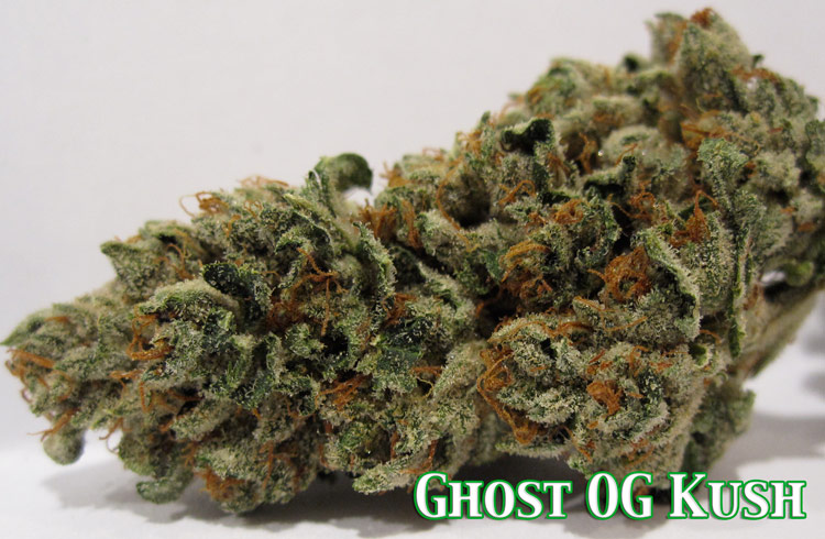 Ghost OG Kush