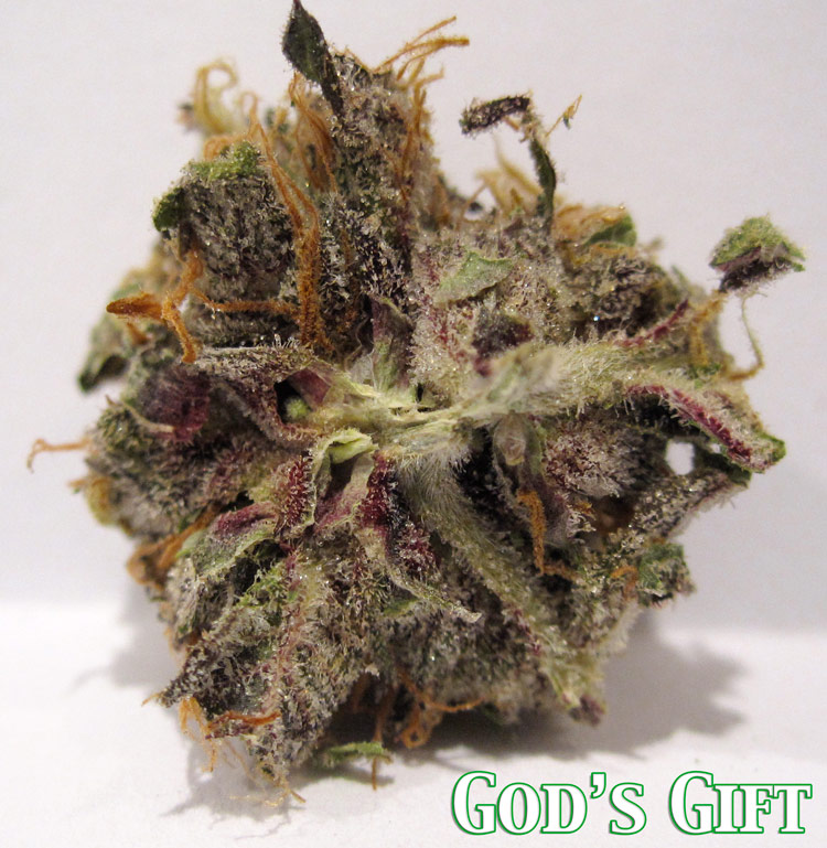 God's Gift Medical Marijuana