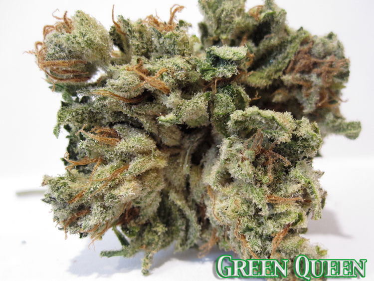 Green Queen (Green Crack Cross)