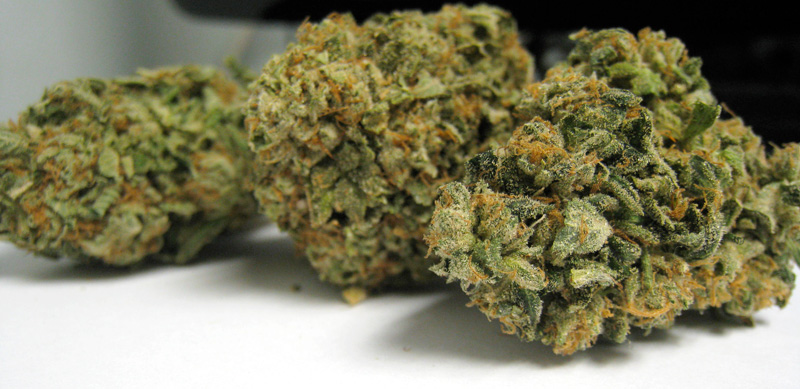 Headband Herojuana Medical marijuana