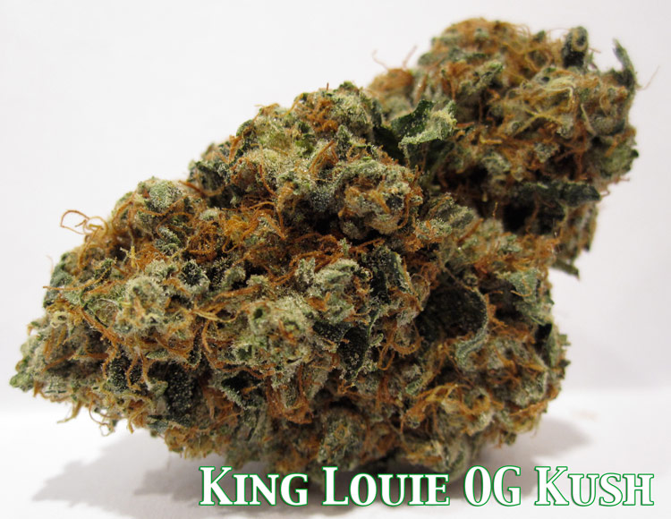 King Louie OG Kush