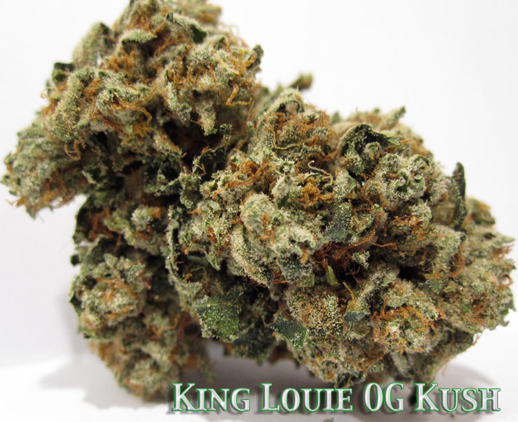 King Louie OG Kush