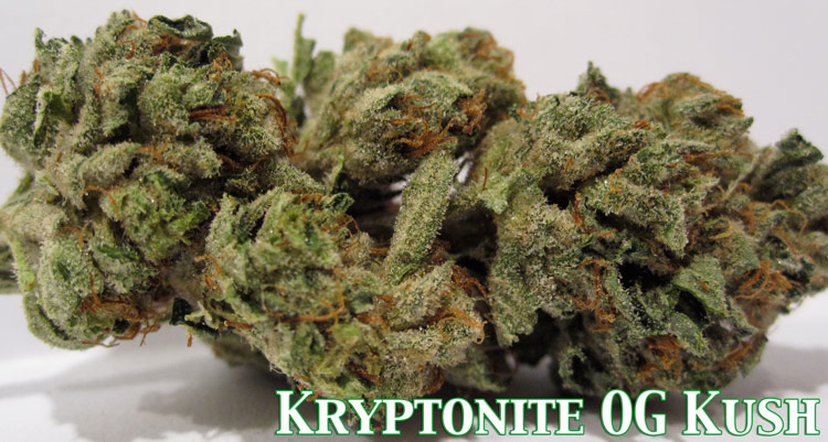 Kryptonite OG Kush