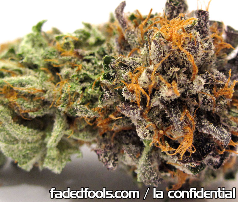 LA Confidential Medical Weed