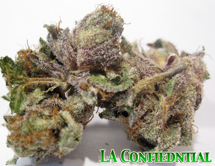 LA Confidential