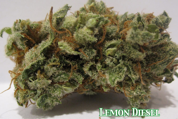 Lemon DIesel