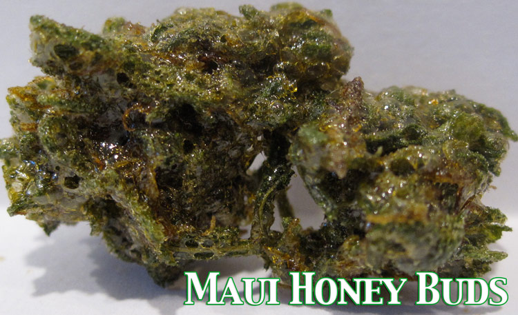 Maui Honey Buds (butane hash Oil nugs)