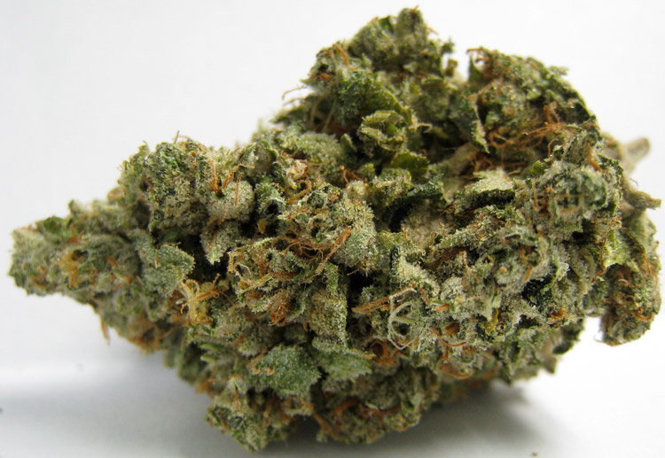 Organic Headband Sour OG Kush