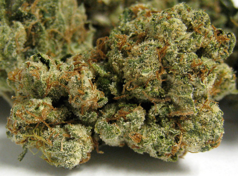 Sour Kush Headband