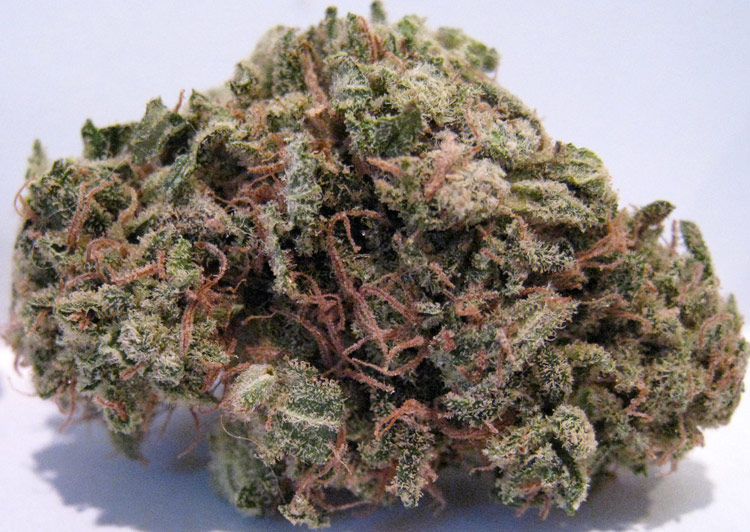 Pink Panther Medical Marijuana