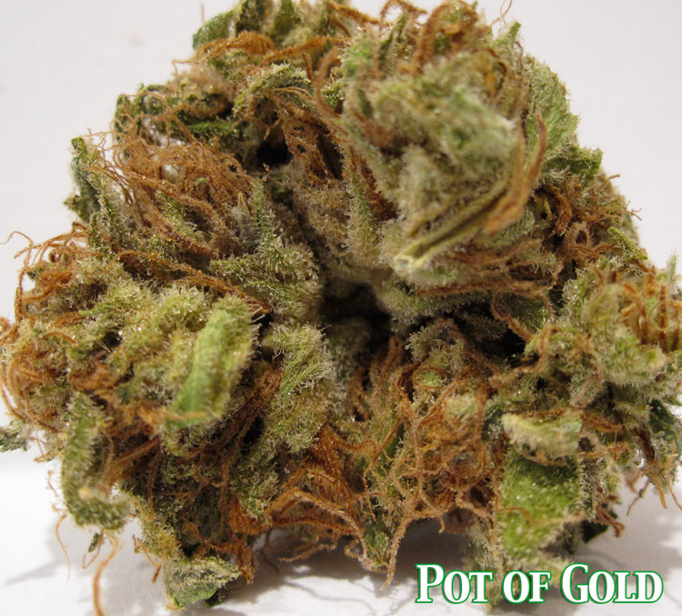 Pot of Gold Medical Marijuana
