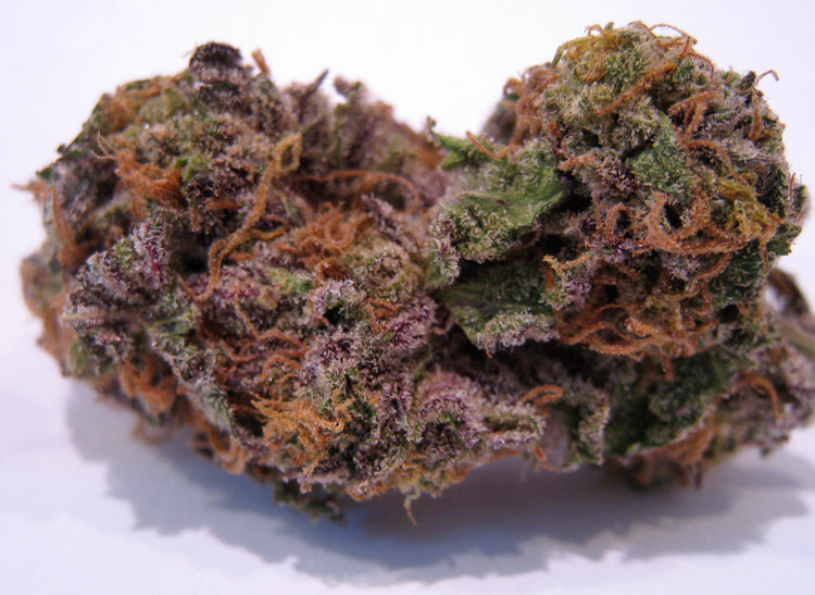 Weed Purp