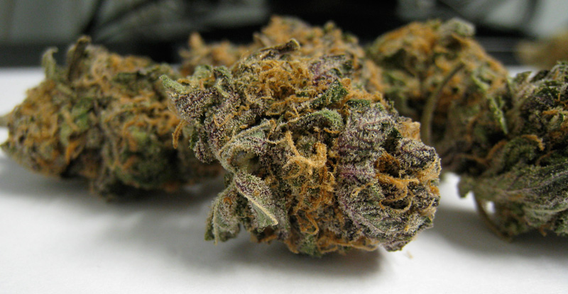 Purple Urkle Medical Marijuana