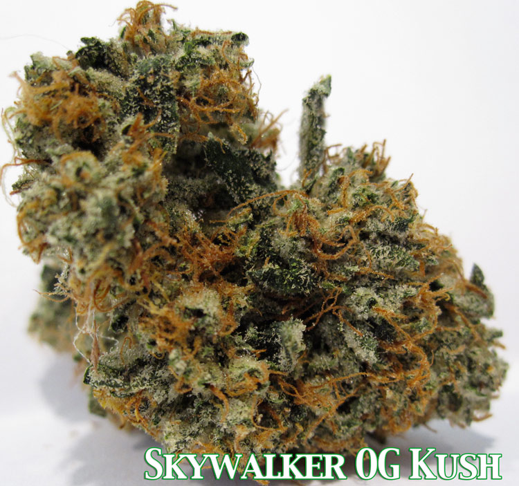 Skywalker OG Kush