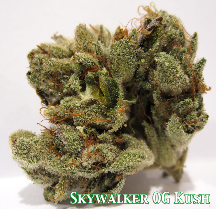 Skywalker OG Kush 