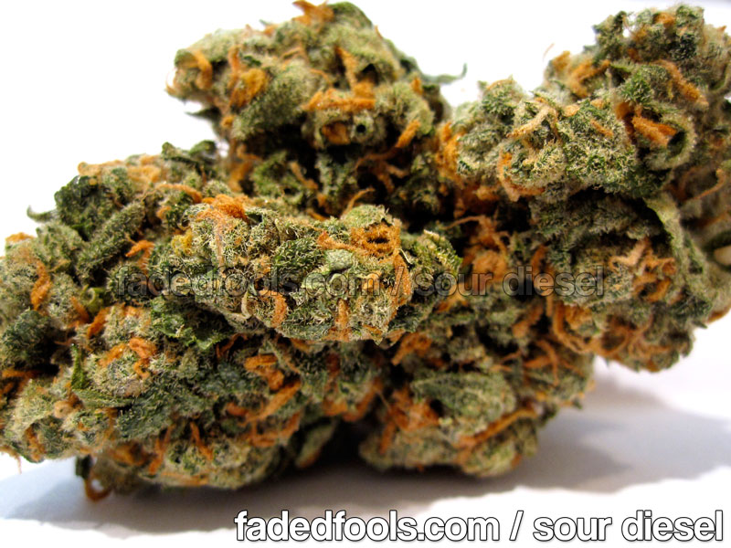 Diesel Weed