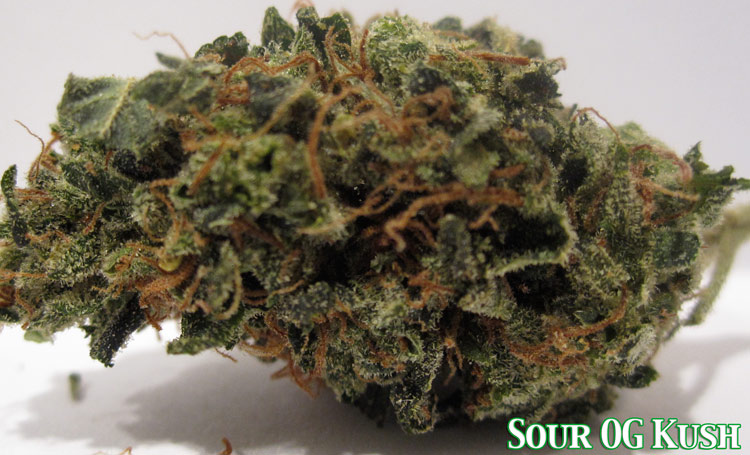 Sour OG Kush