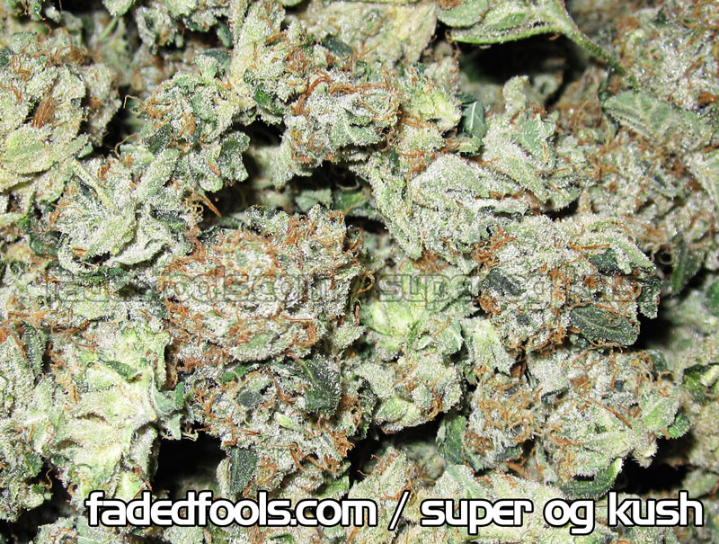 Super Og