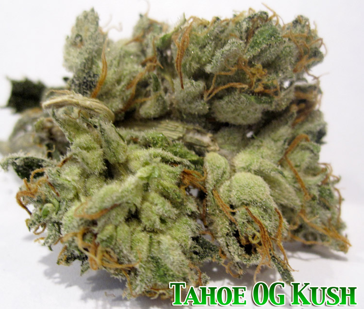 tahoe og kush