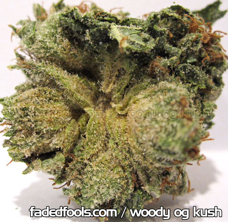 Woody Kush